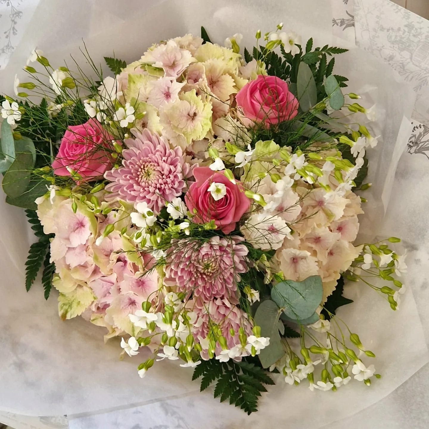 Light Pink Hydrangea