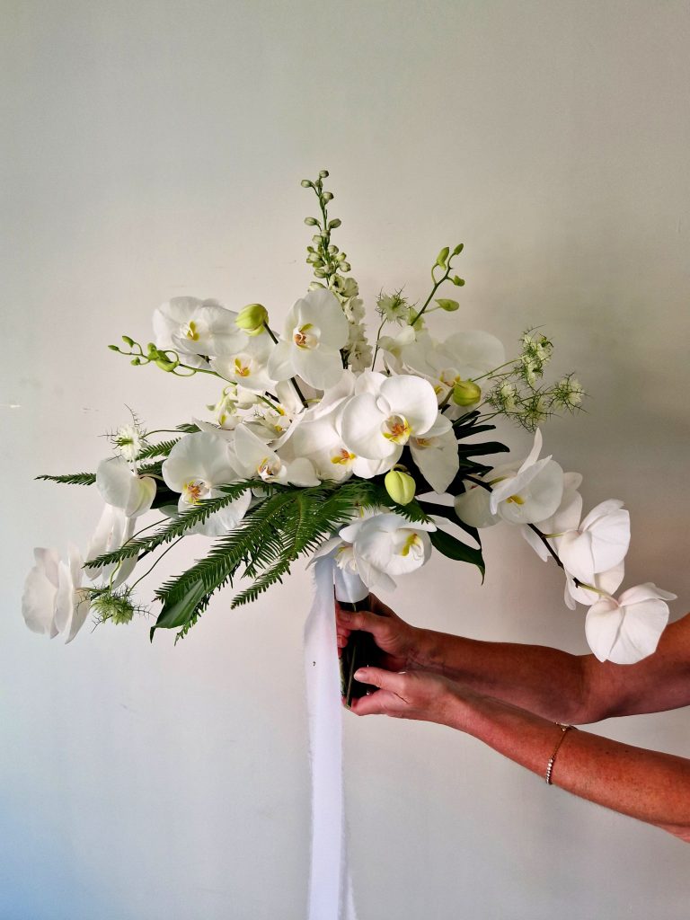Phalaenopsis Blooms & Buds - 27 Elegant Pieces main image 0