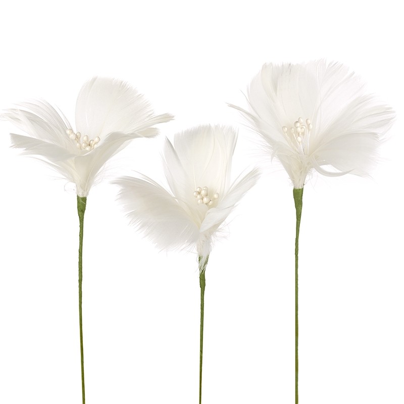 White feather flowers