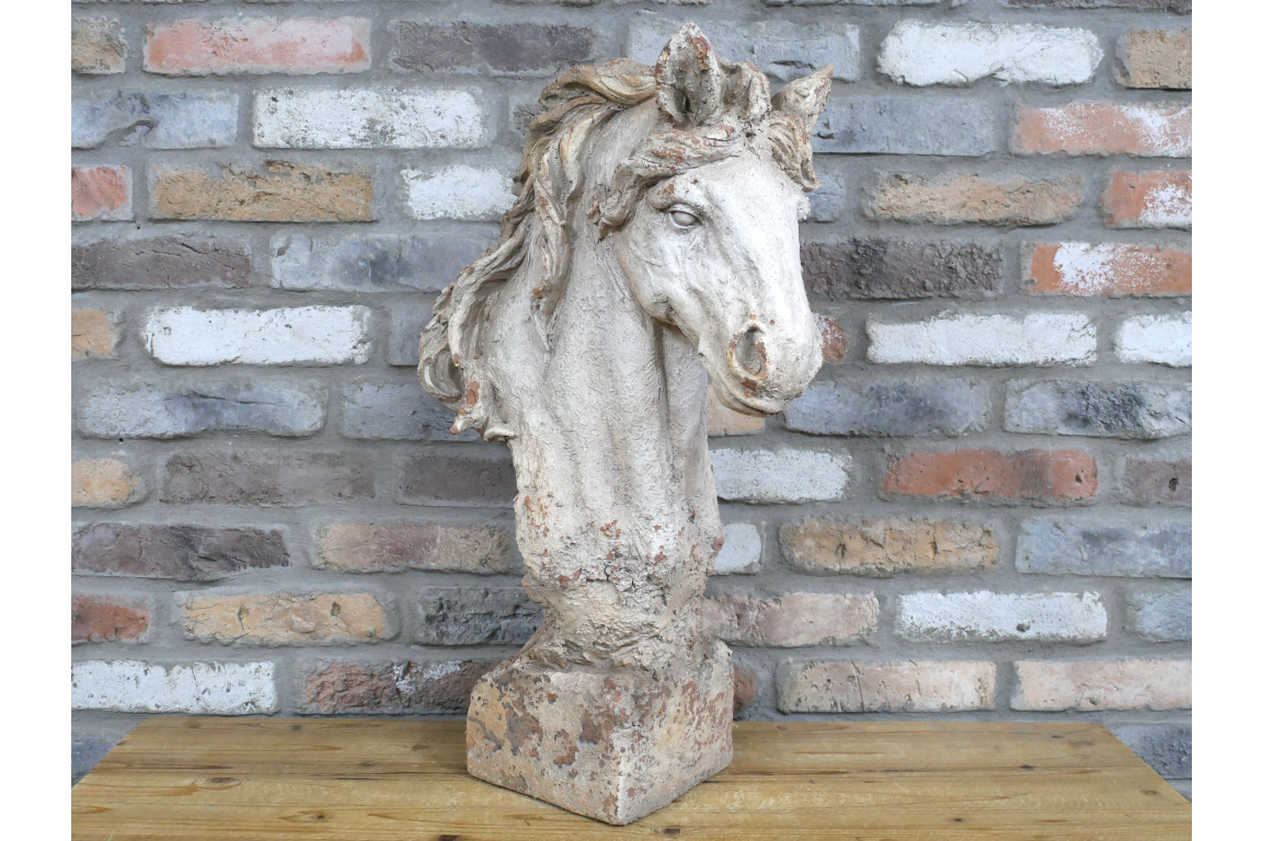 Horses Head