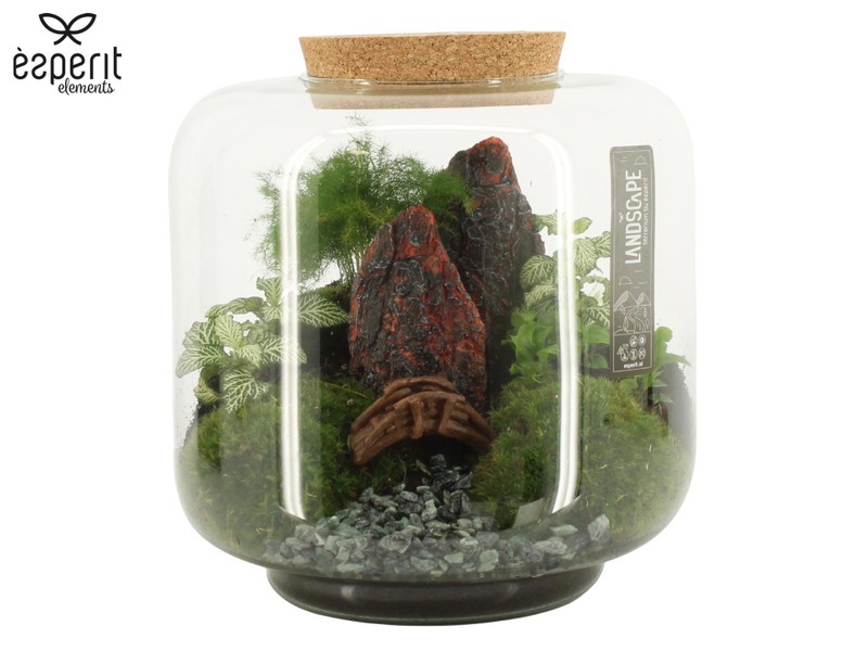 Compo Terrarium Landscape