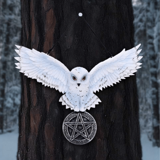 Owl Talisman 20.5cm